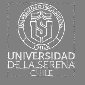 Bordado ULS
